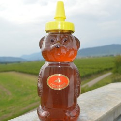 Miel de châtaignier 330g